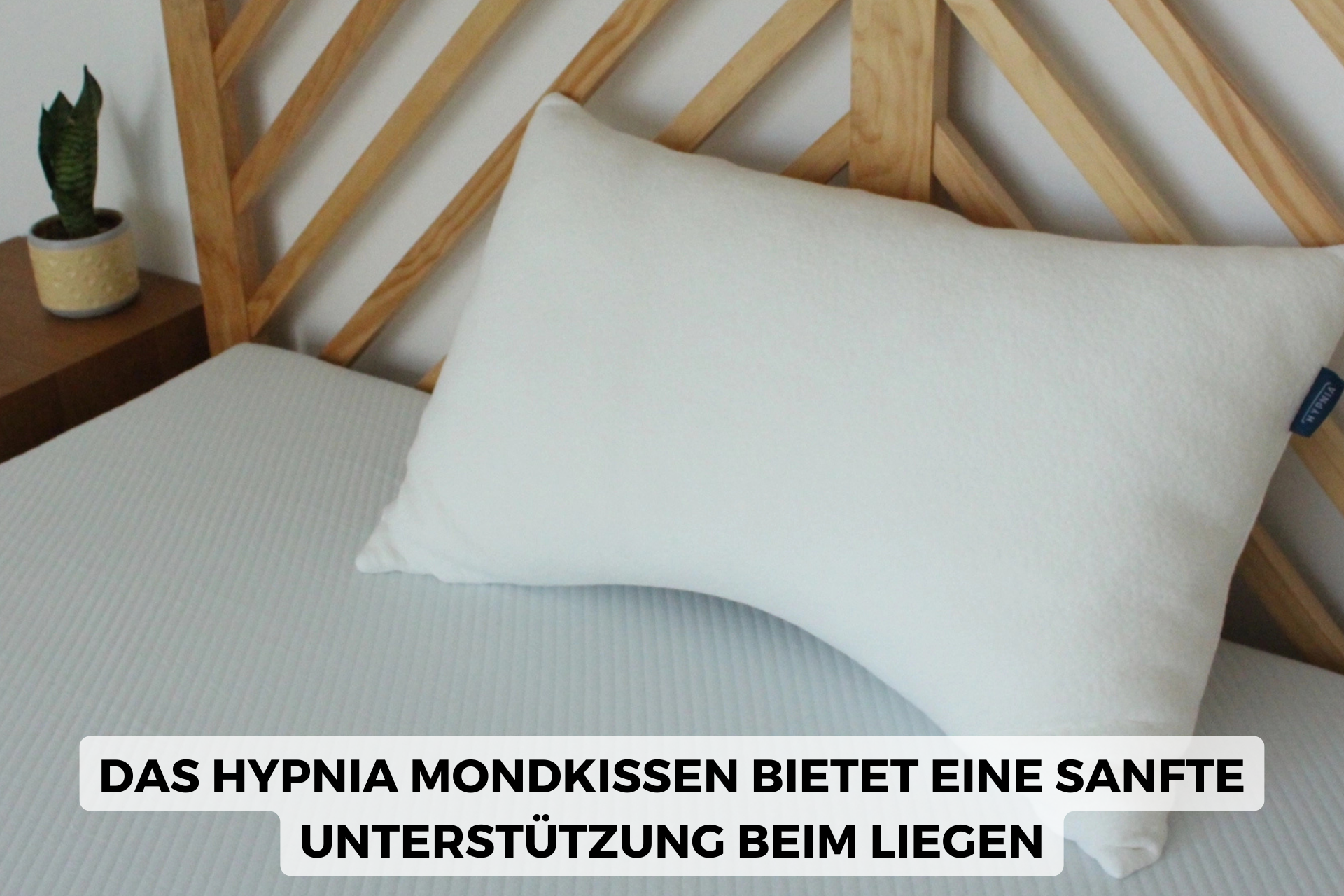 Hypnia  Mondkissen